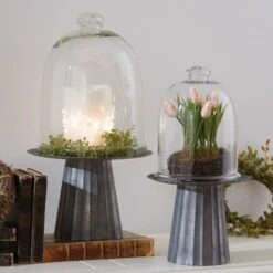 Glass Bell Cloche - 9.5"H 5 Glass Bell Cloche - 9.5"H -Park Designs Shop 20 442 2