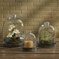 Glass Bell Cloche - 12"H