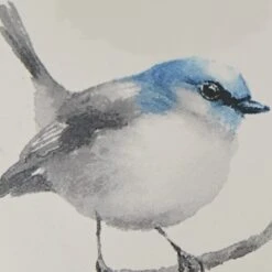 Williamsburg Aviary Mug -Park Designs Shop 3977 660 3